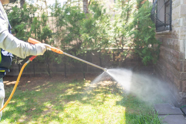 Emergency Pest Control in Mount Olive, NC